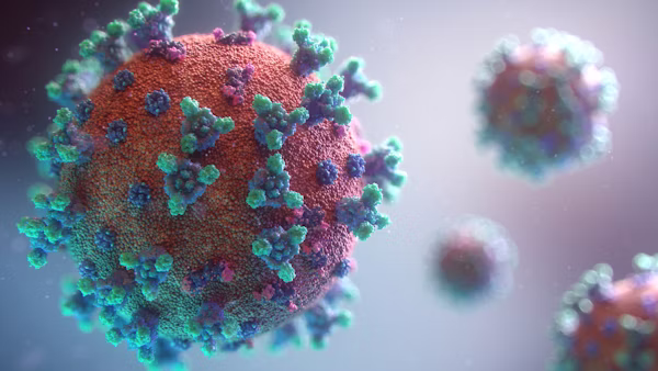 NDPS Matters