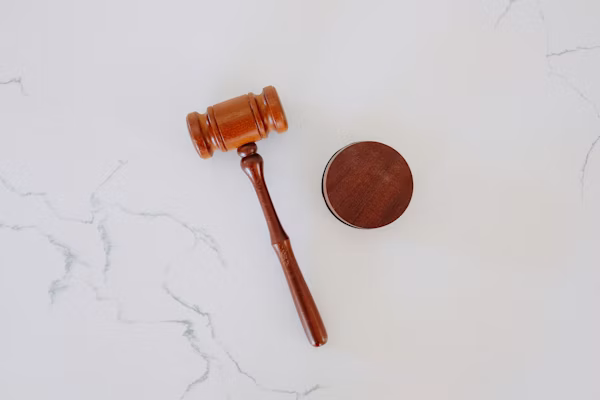 Public Interest Litigation (PIL)